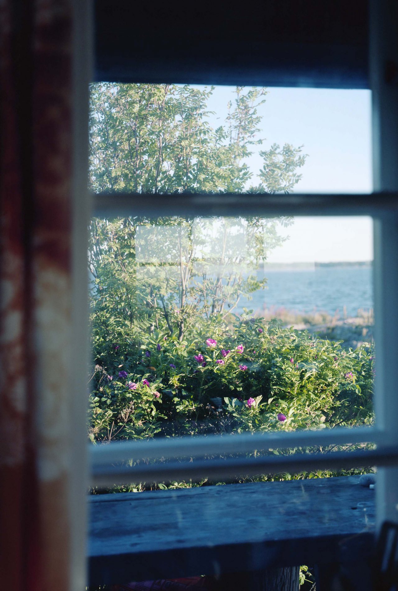 第一回 トーベ・ヤンソンの窓 | ホンマタカシ連載 窓と写真 | 窓研究所
